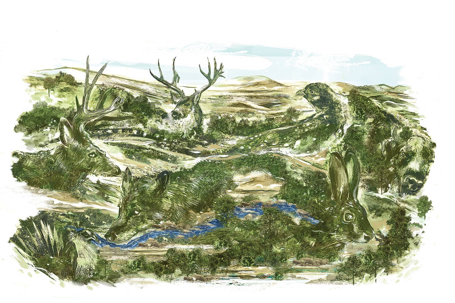 Illustration of a landscape painted in the shape of animals.
