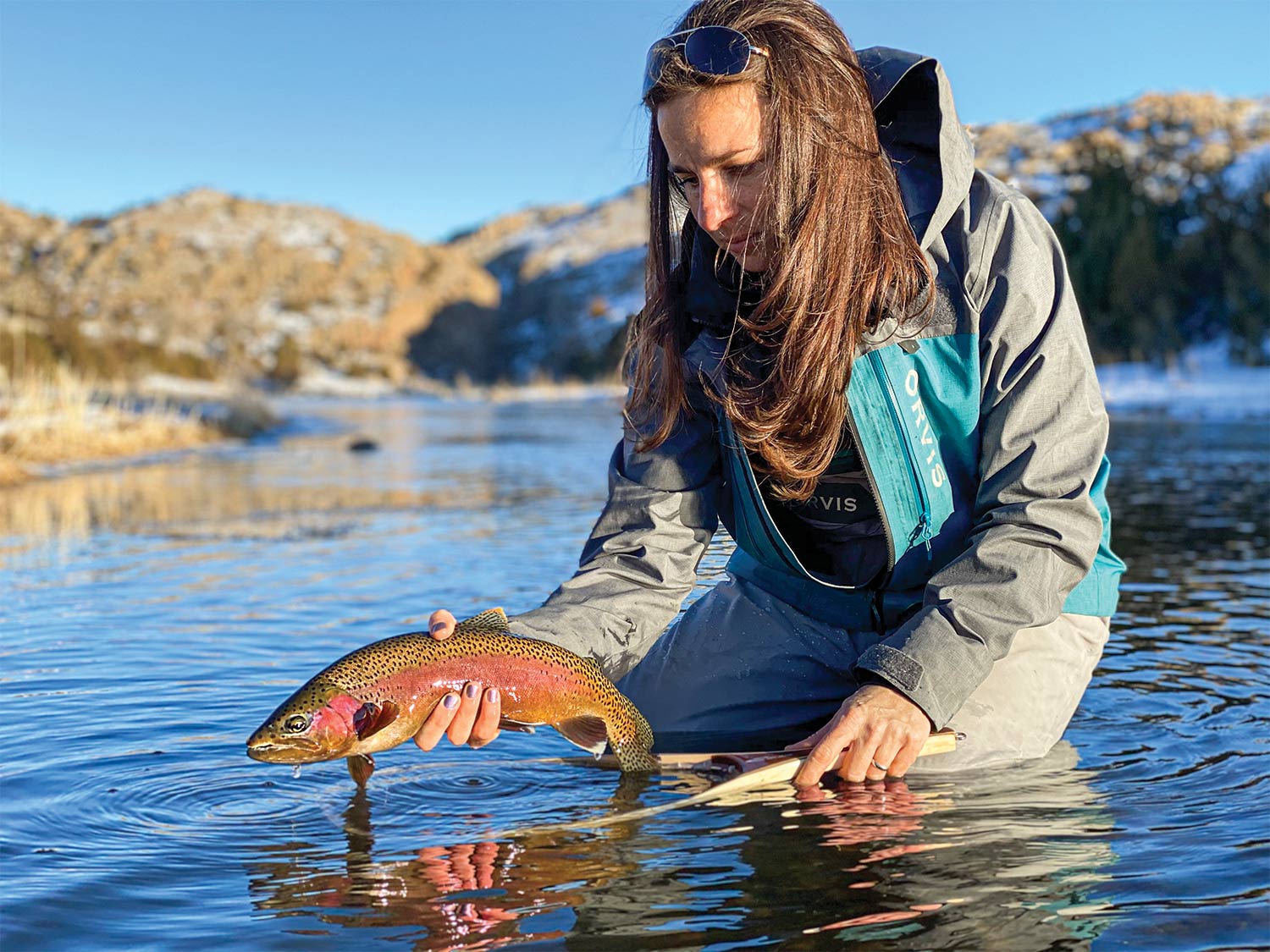 Female angler releasing a rainbow trout in Wyoming's North Platte river.