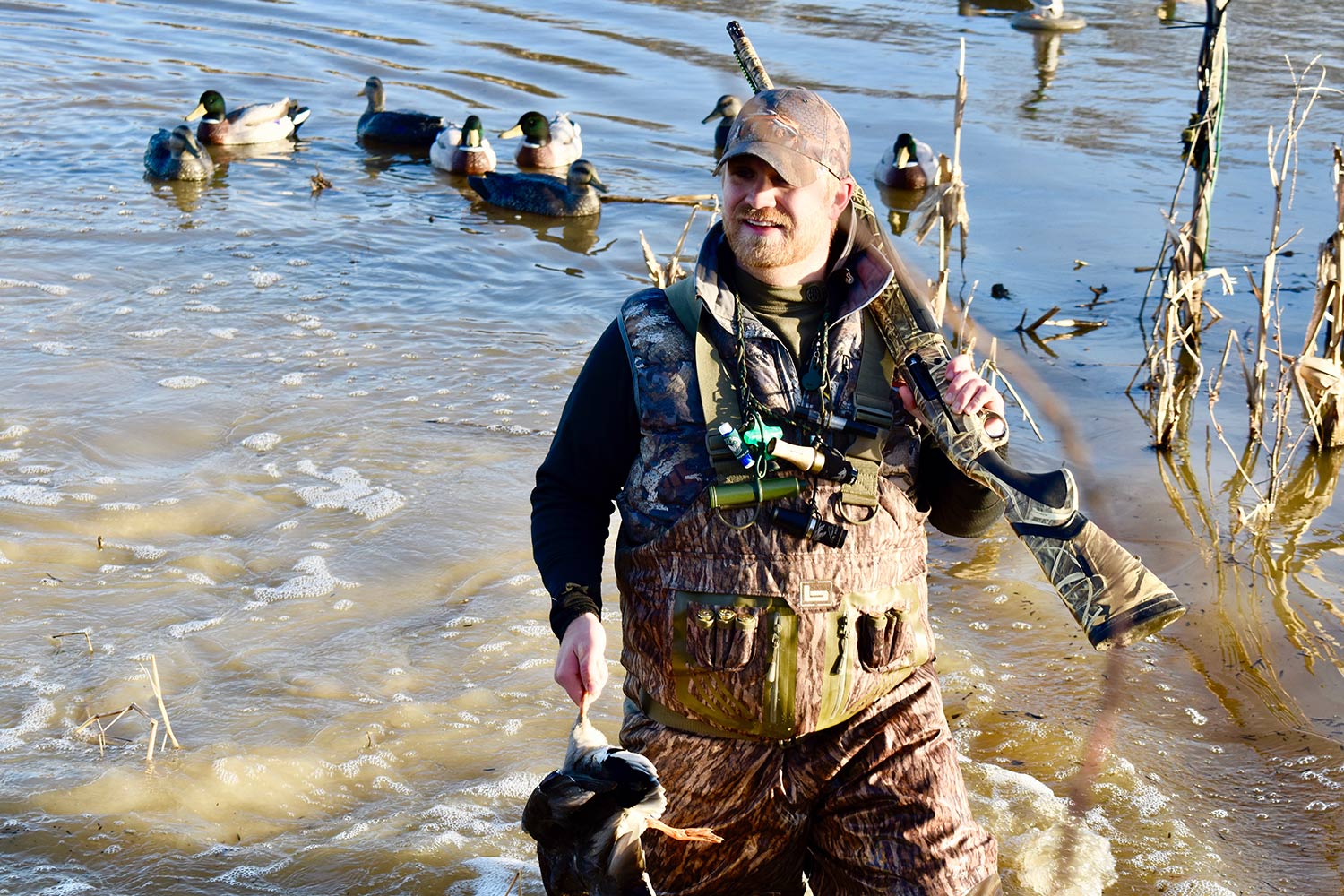 Hunter wading in a river carrying a shotgun and a duck.