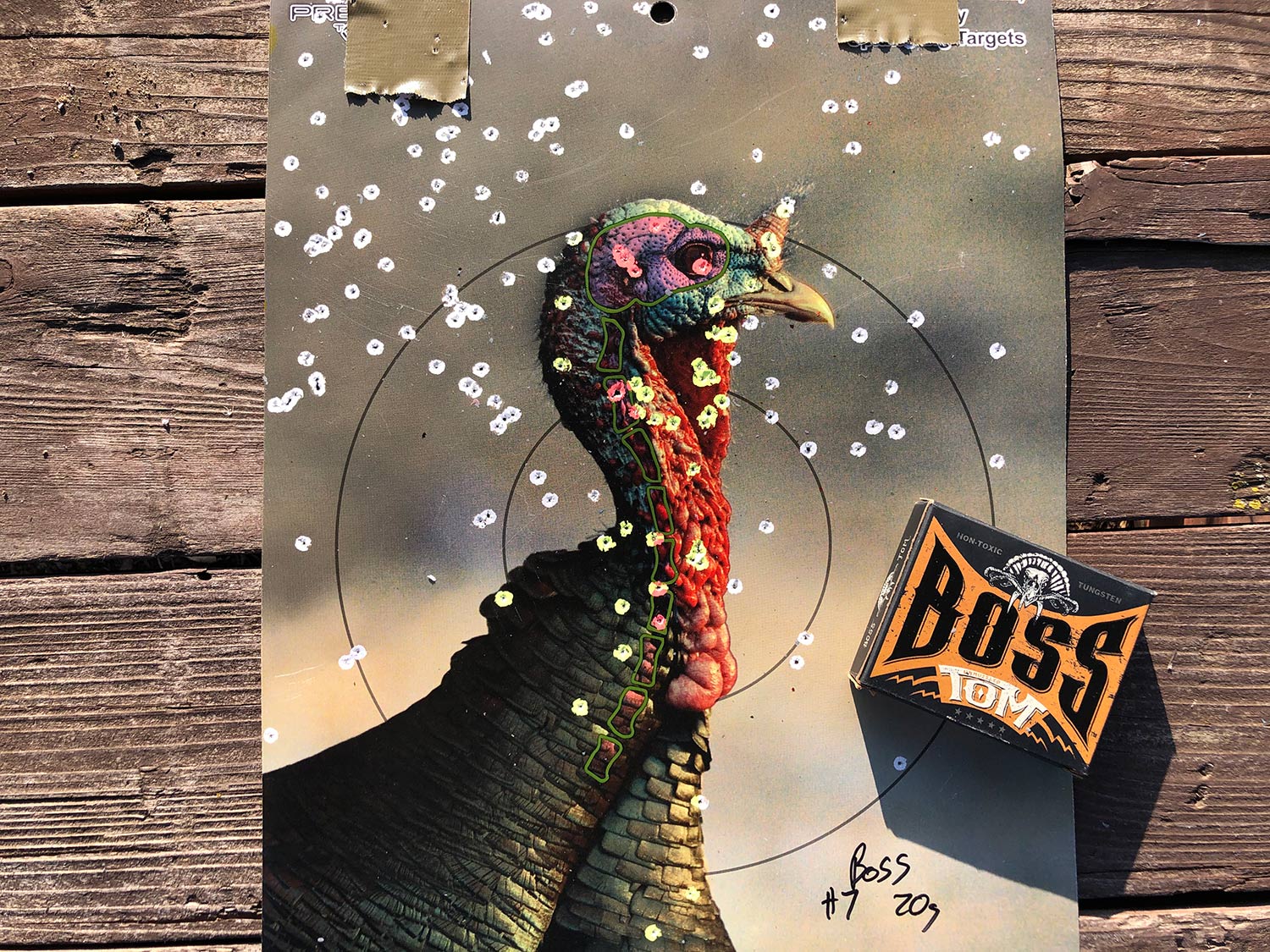 A turkey target riddled with pellet holes.