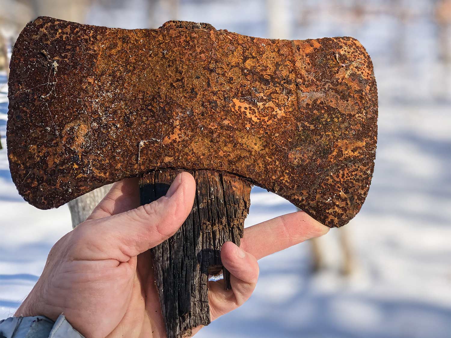 Rusted double-bit ax head.