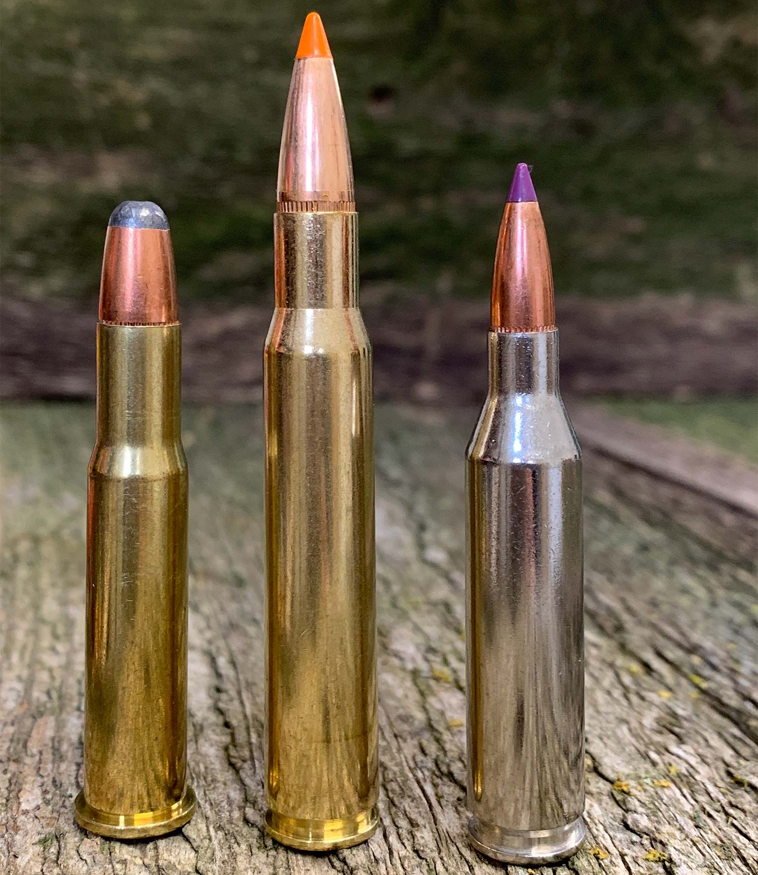 line up of rifle ammo.