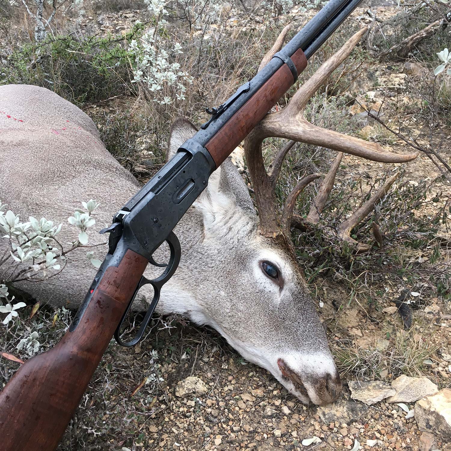 The Model 94 lever action rifle and deer.