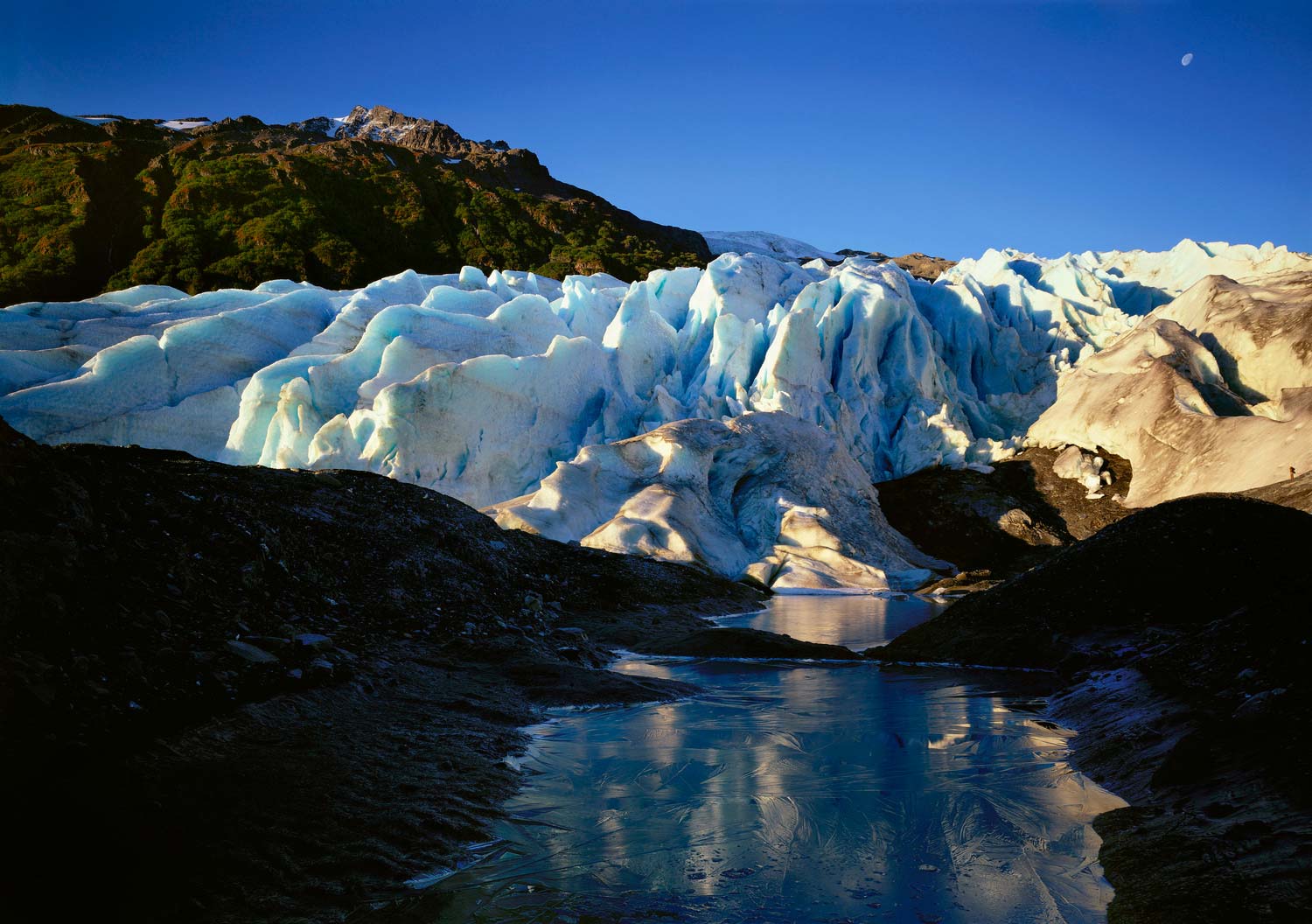 Exit Glacier, Kenai Fjords National Park, Alaska