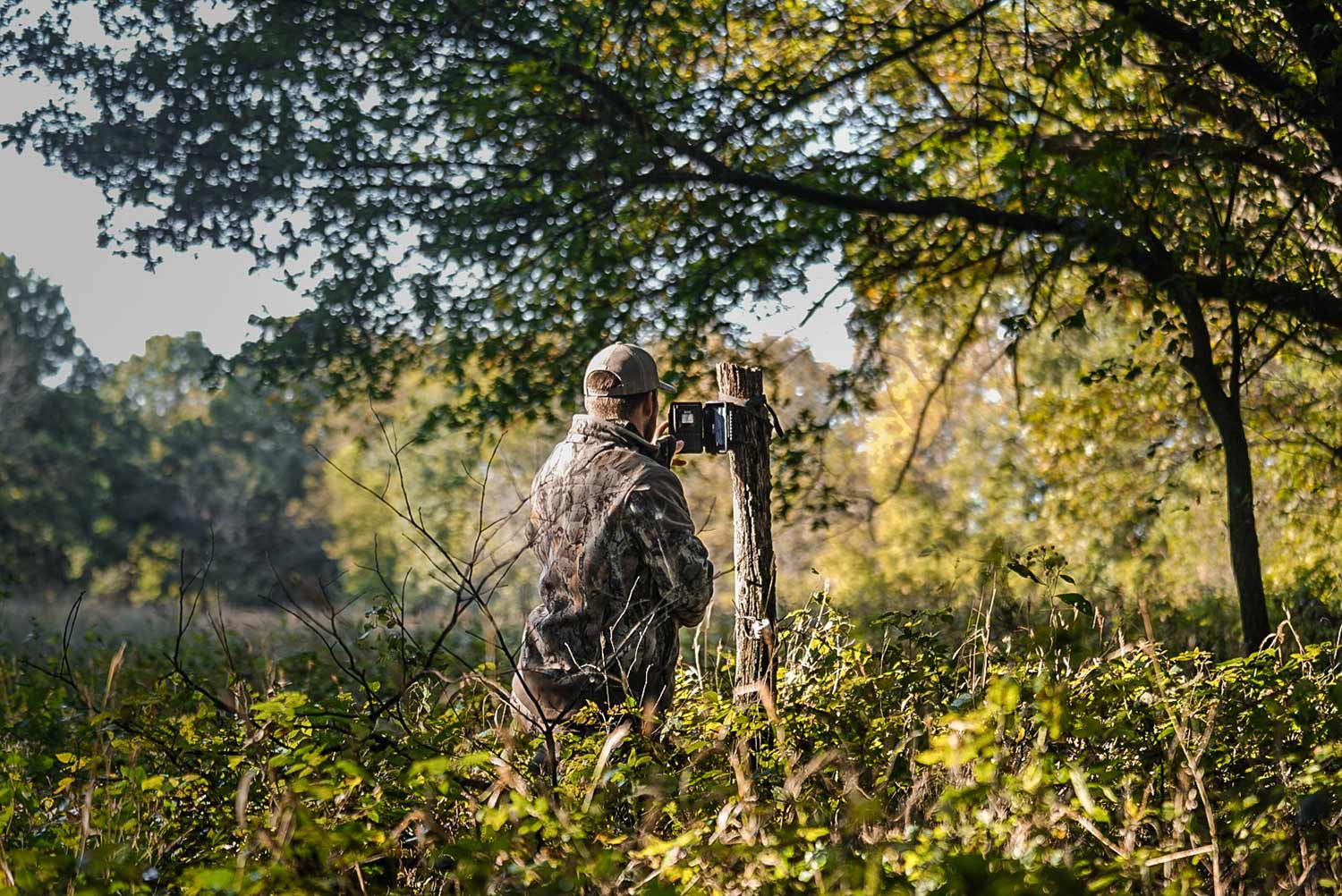 Hunter checking a trail camera in a field.