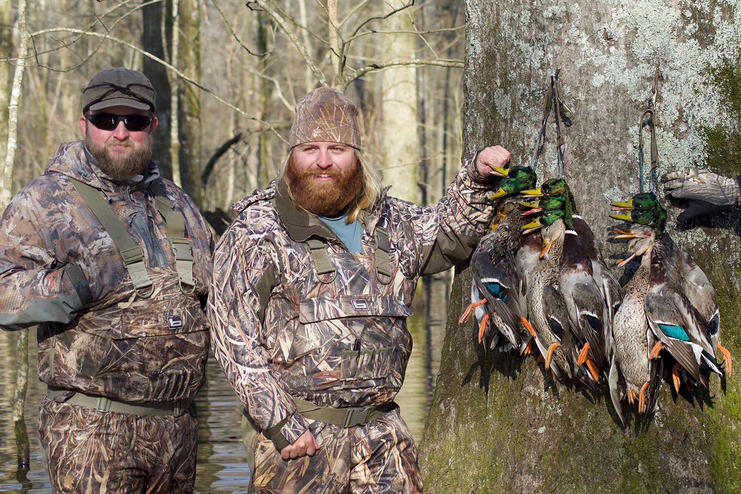 duck hunters and mallard ducks