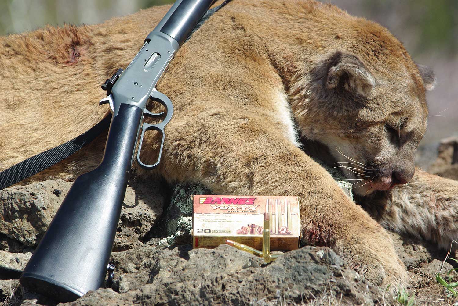 Winchester 94 .30-30 and a cougar.