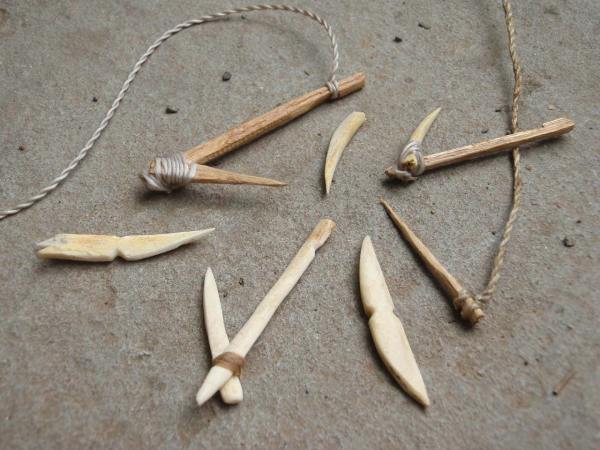 Primitive fish hooks made from wood and rocks.