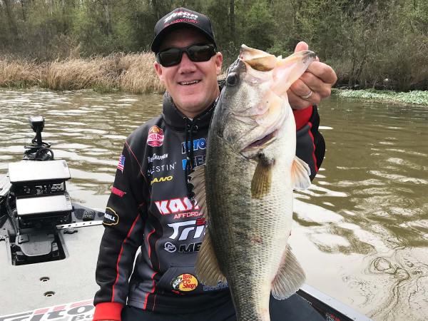 10 Tips to Troubleshoot Your Bass Fishing Woes