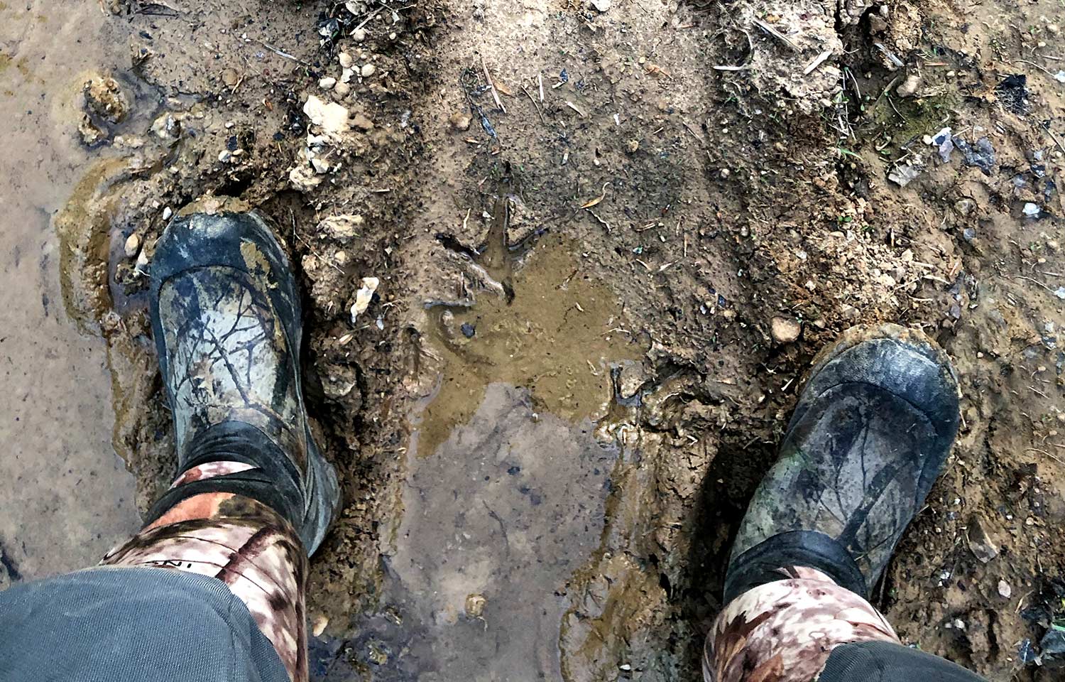 A hunters boots and turkey tracks in the mud.
