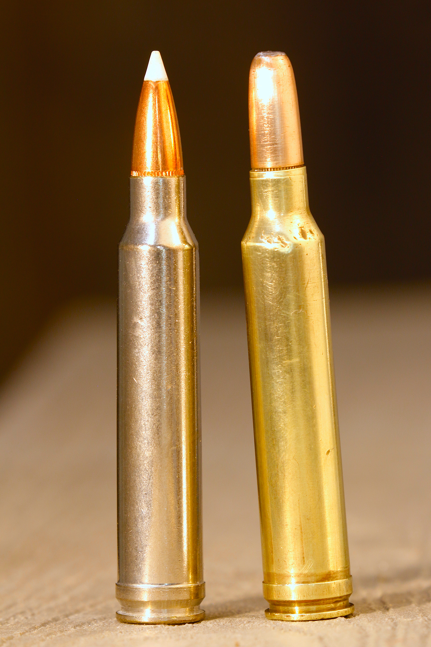 A .300 Win Mag bullet with Nosler Accubond and a Round Nose bullet.