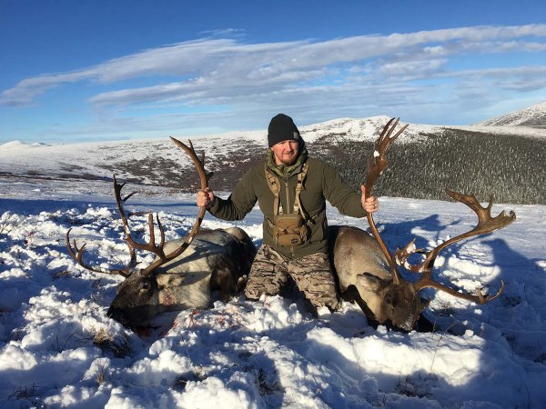 Planning to Hunt Alaska Someday? Here’s Why Caribou Should Be Your First Trip