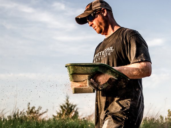 10 Tips For Growing Successful Food Plots (And Keeping Deer on Your Property All Season Long)