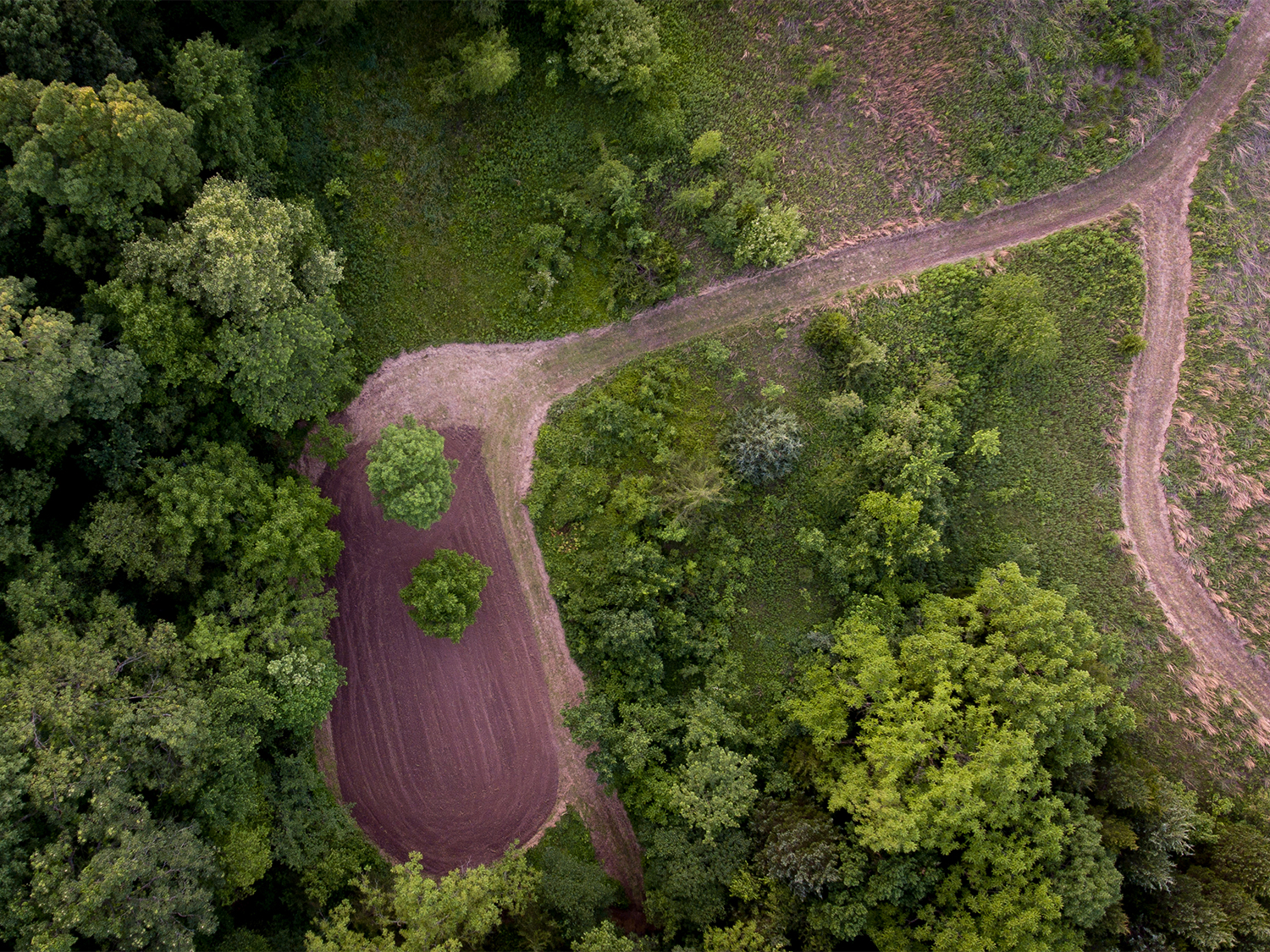 An aerial view of a deer hunting food plot.