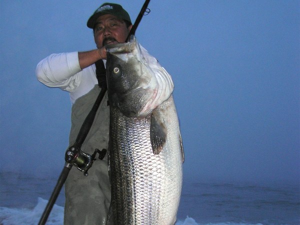 How To Catch a 50-Pound Striper From The Surf