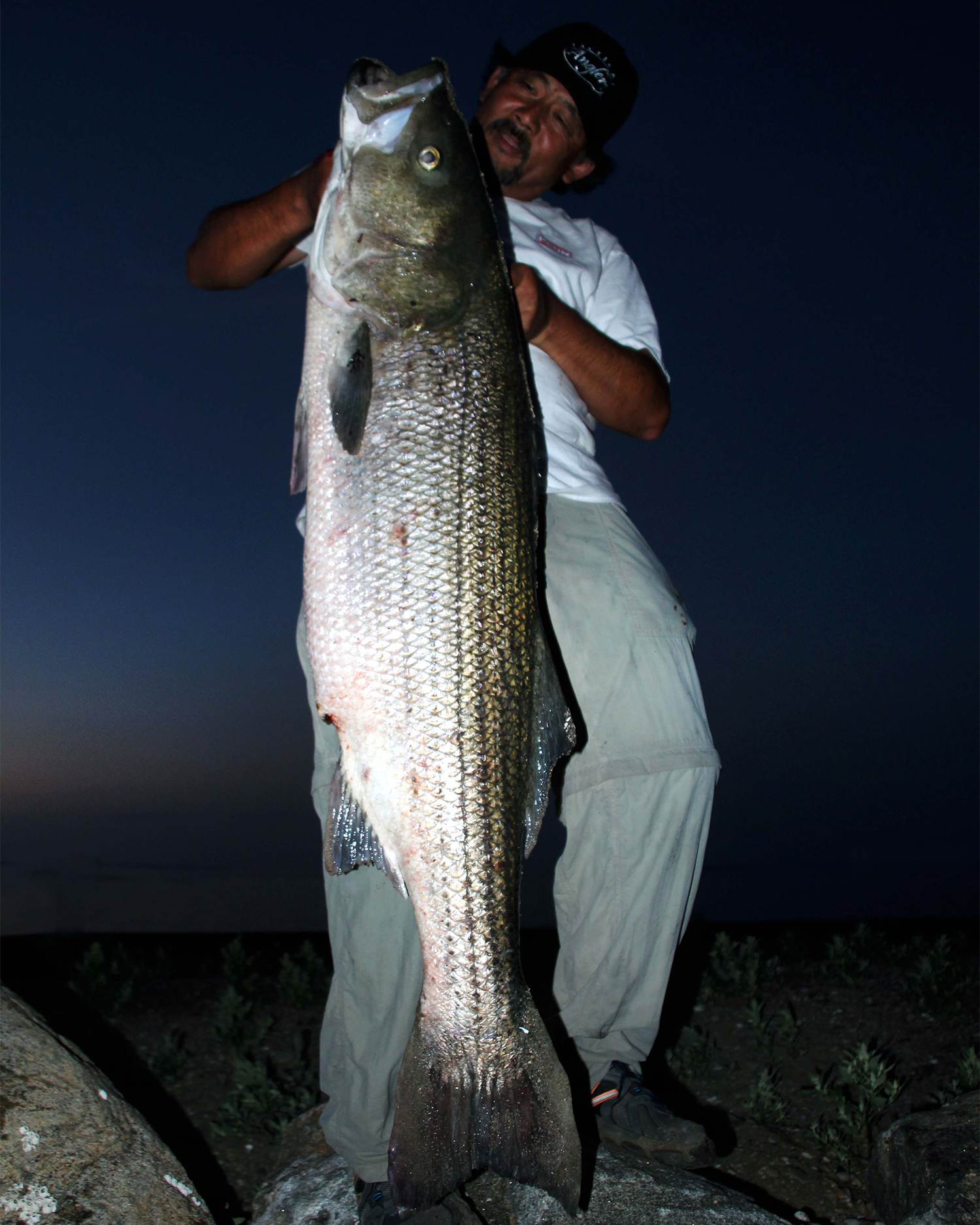 An angler with a large striped bass at night.