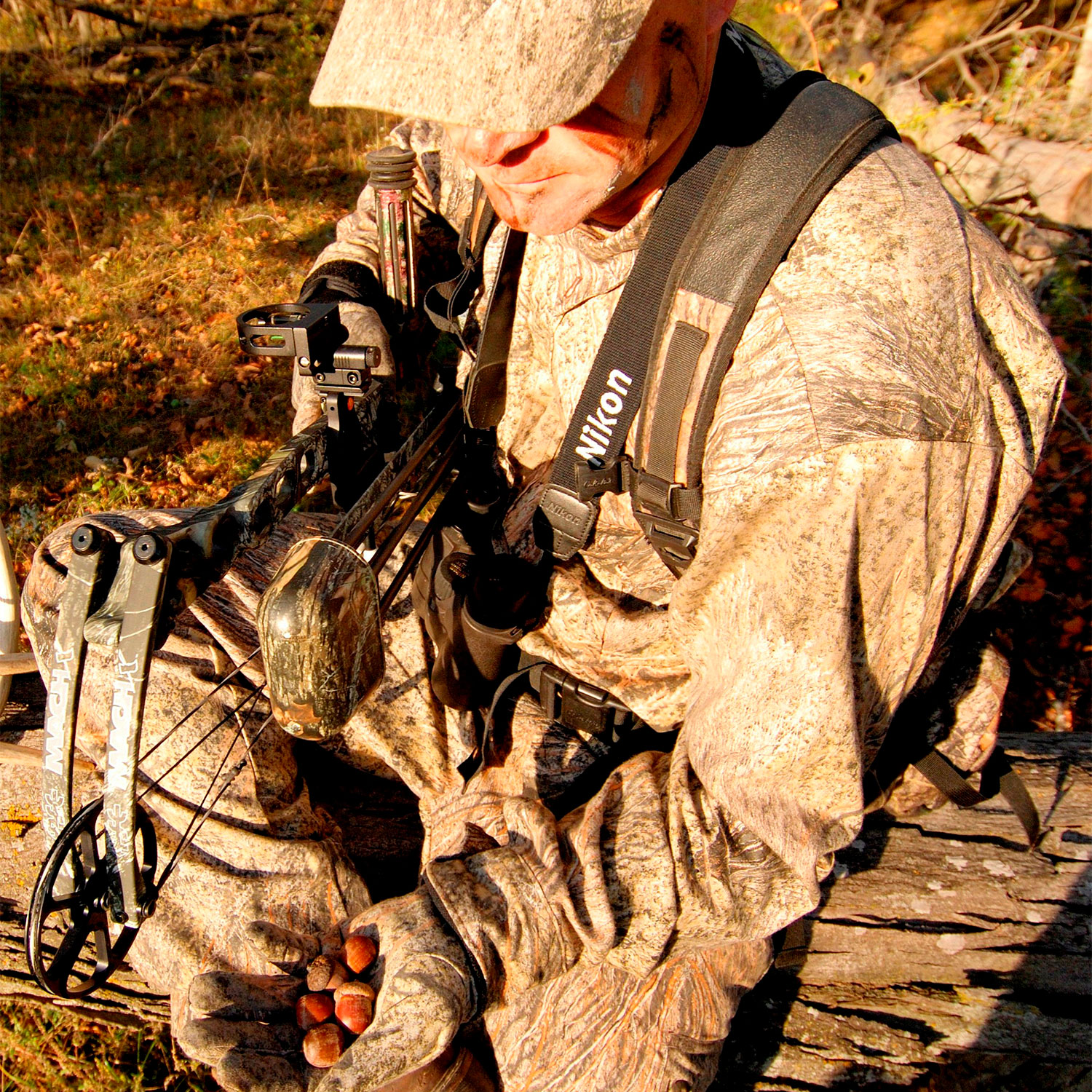 A hunter holding a compound bow examies a handful of acorns.