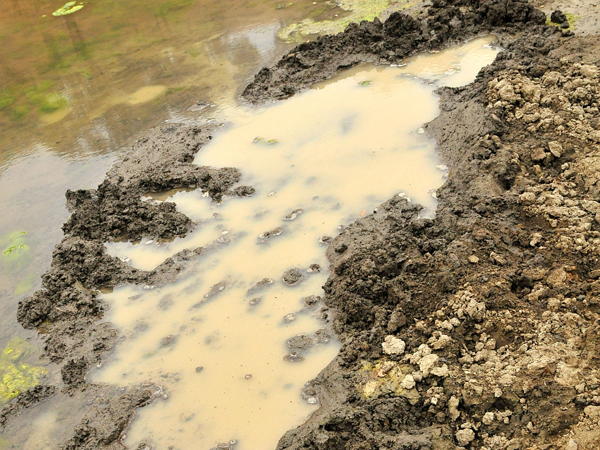 A mud puddle
