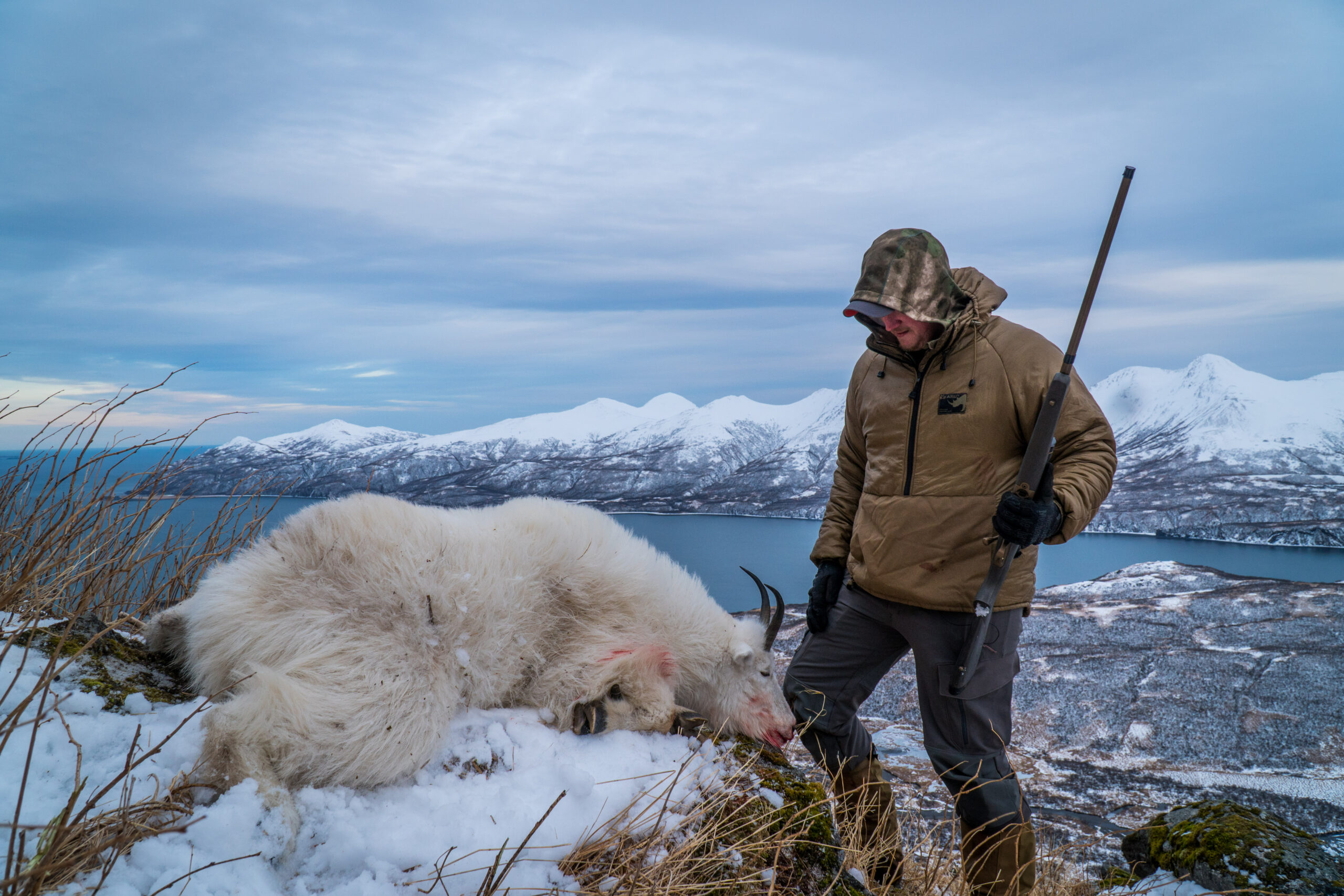 mountain goat hunt