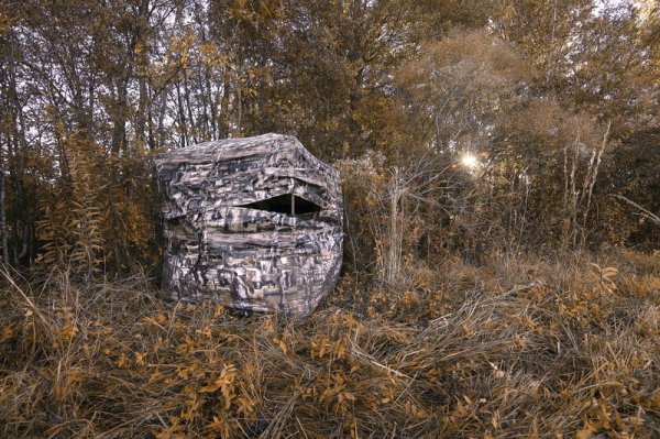 6 Rules for More Success with Ground Blinds