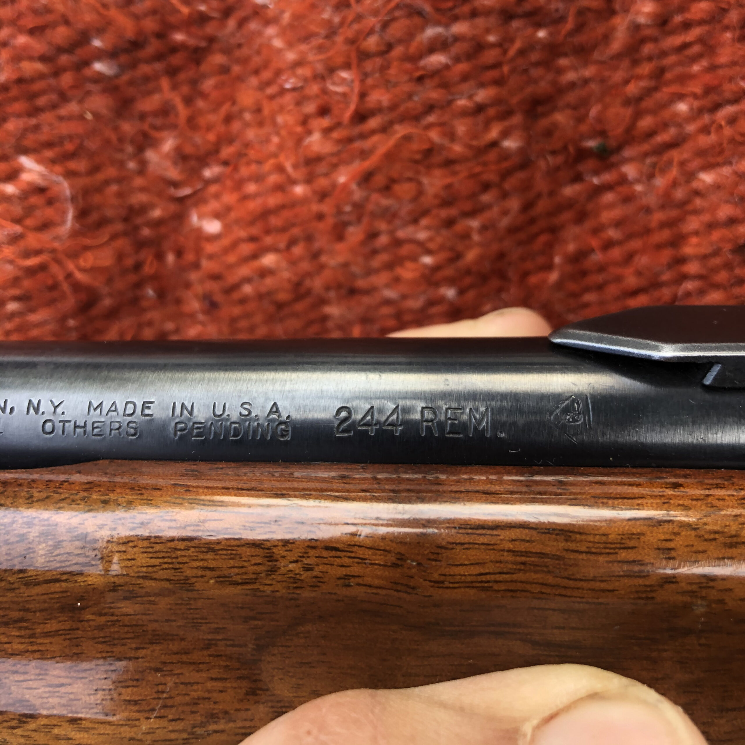 A glossy, wood-stocked Remington with a metal barrel stamped with 244 REM and "Made in the U.S.A."