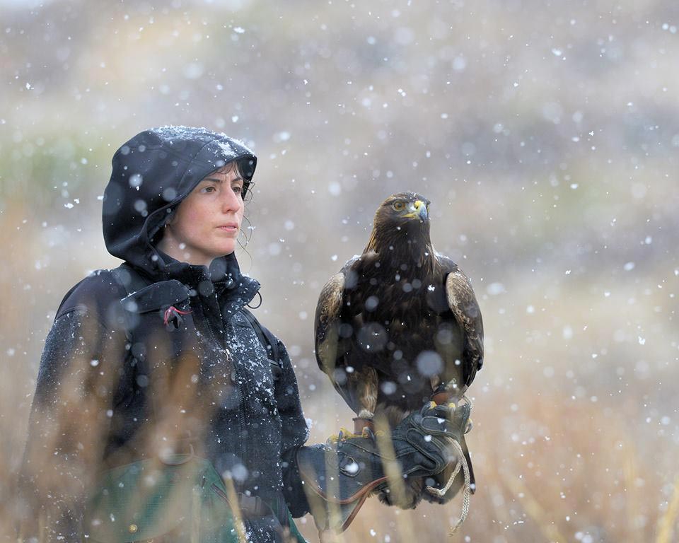 A woman poses with a golden eagle during snowing weather.
