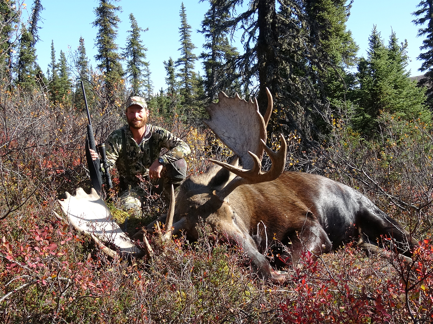 A hunter kneels behind a large alaskan moose.