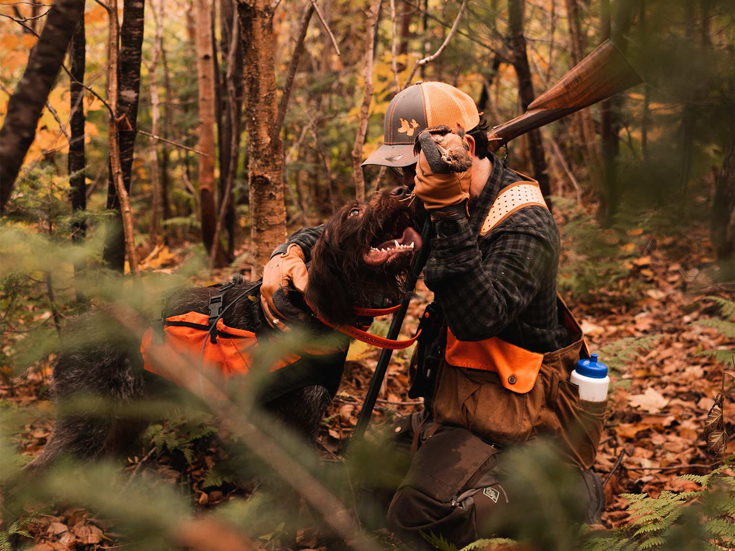 A hunter and a hunting dog in the woods.