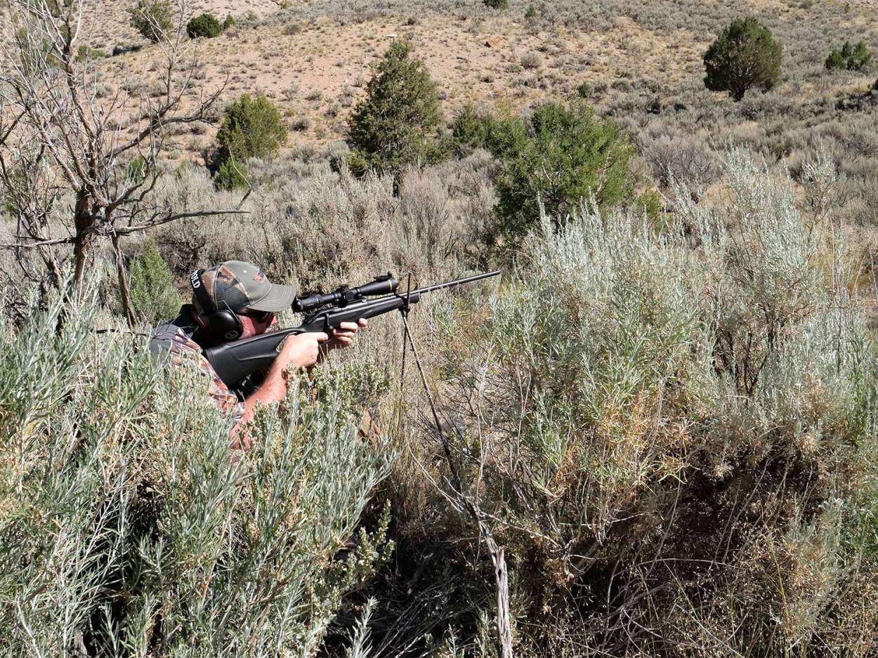 9 Tips for Becoming a Better Rifle Shot on Wild Game