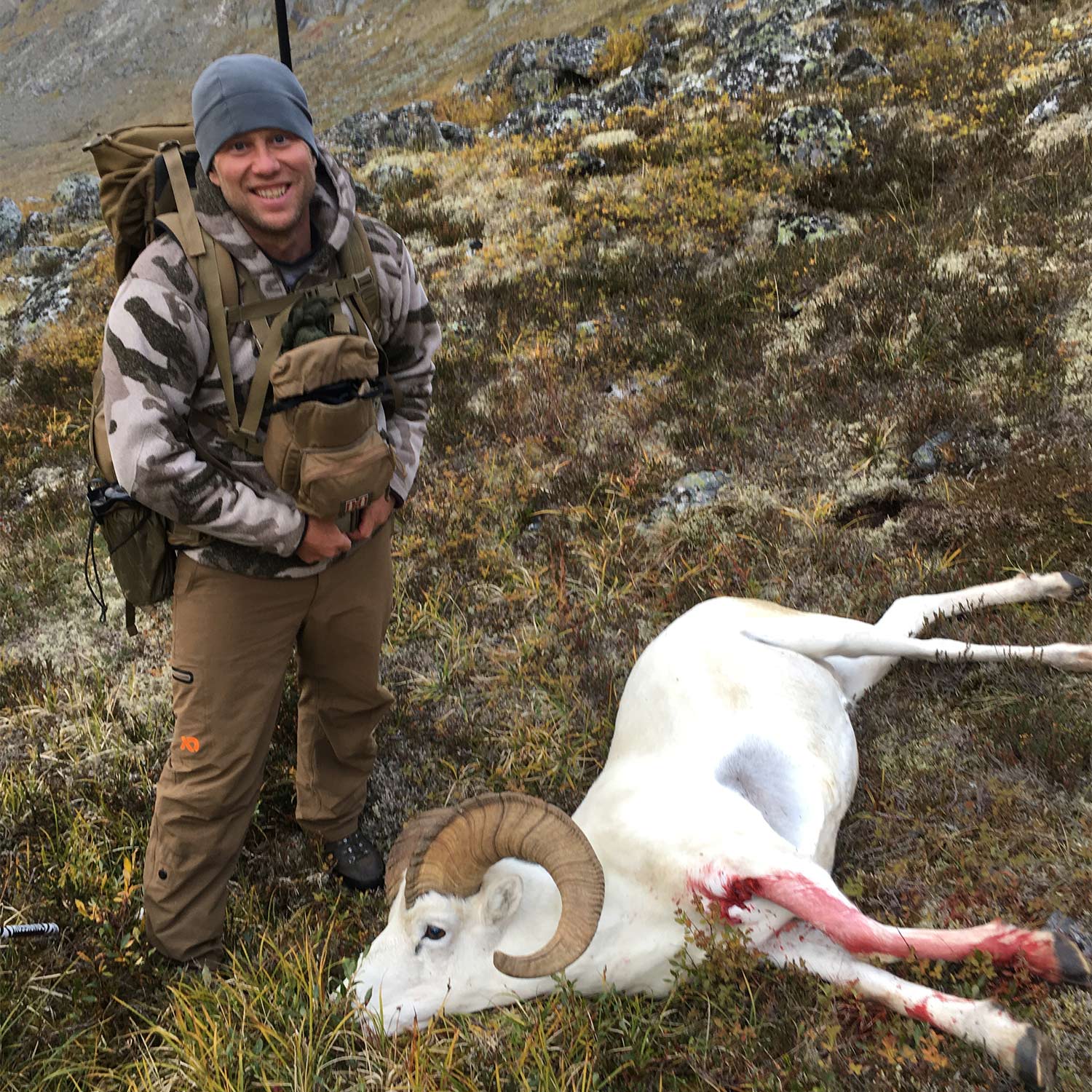 A hunter standing beside a white dall sheep.