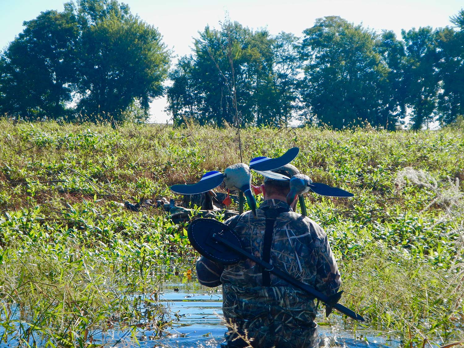 A hunter wading through water to place duck decoys.