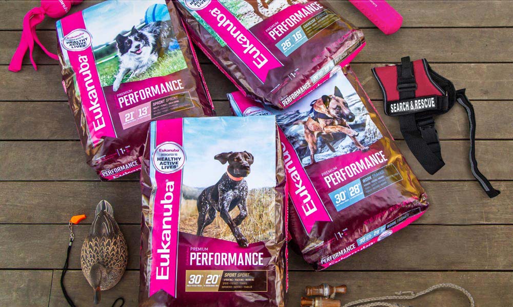 Four bags of Eukanuba dog food on a wooden floor.