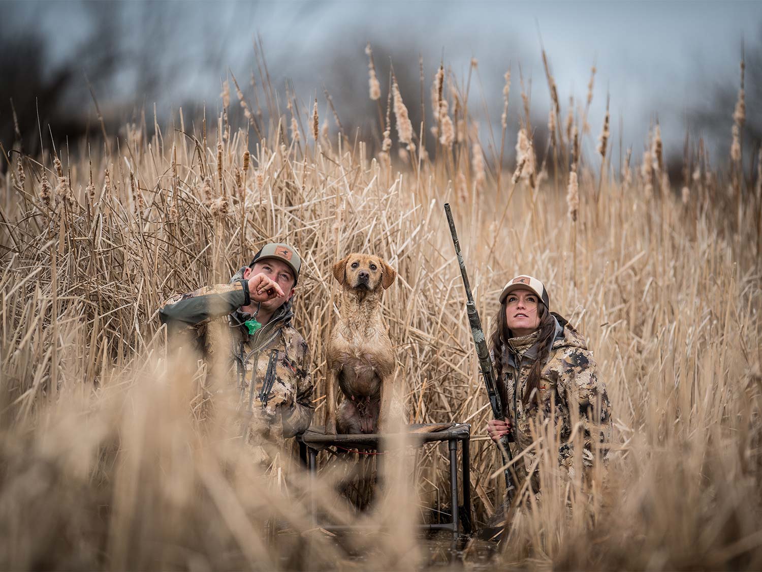 Two hunters in a large field beside a hunting dog.