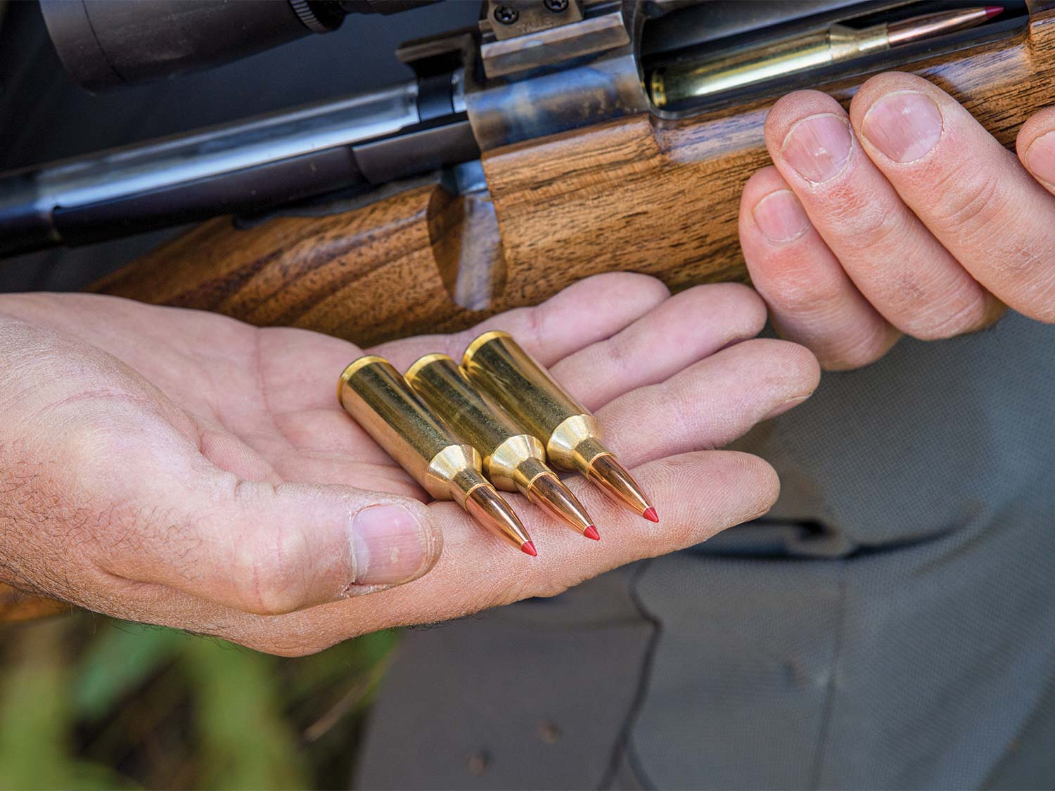 Close up of three bullets being held in the hand of a hunter also holding a rifle.