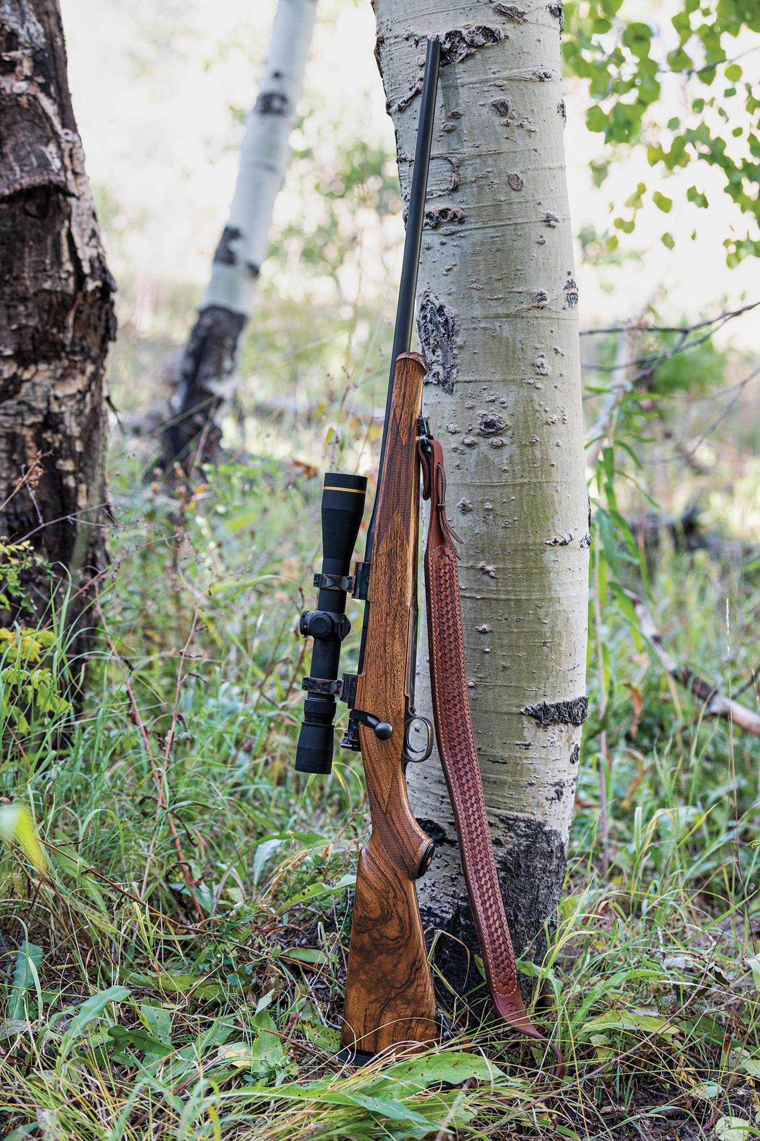 A hunting rifle stands against a tall tree.