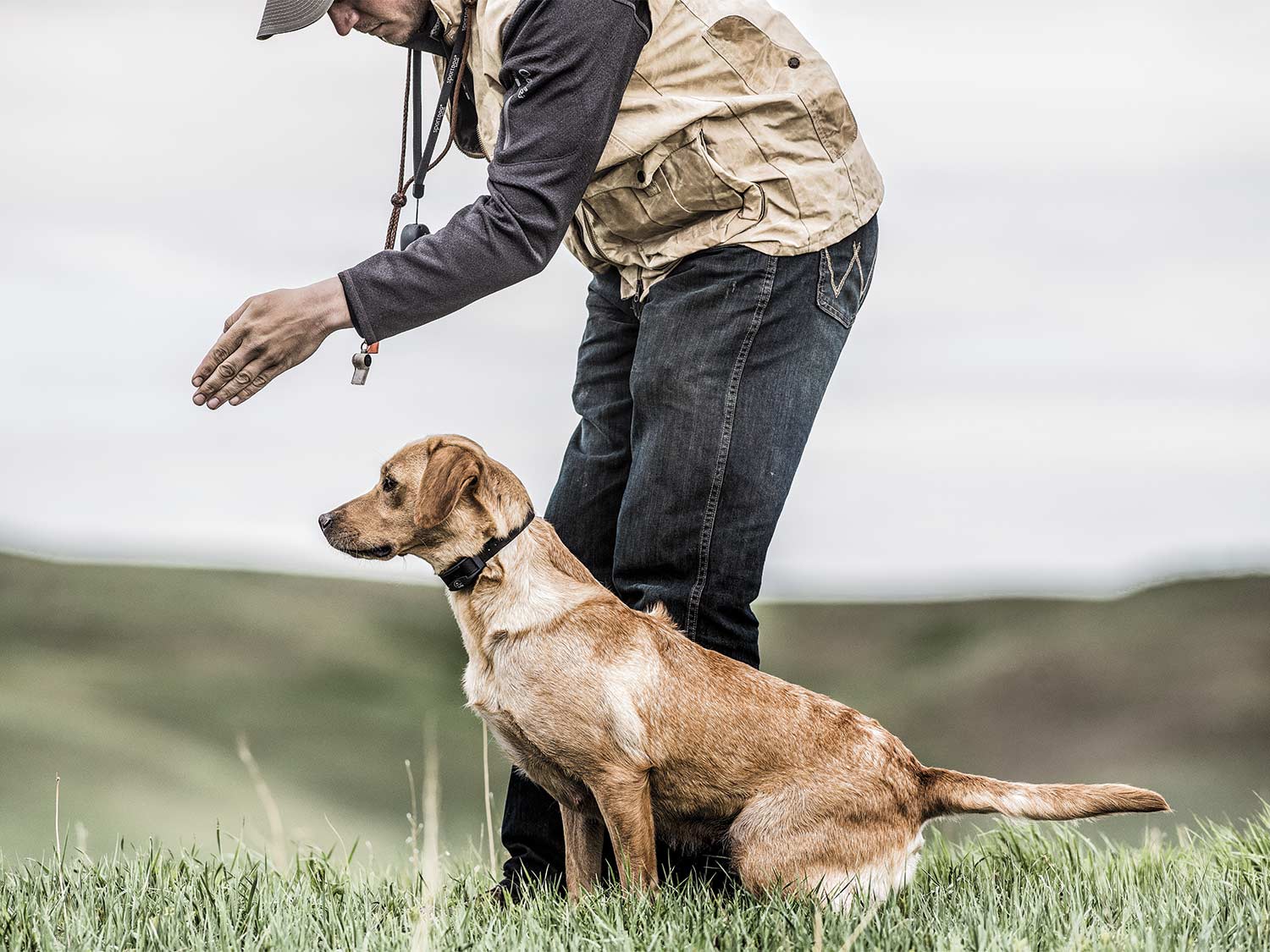 A hunting dog trainer lines up a dog for a blind retrieve in a large open field.