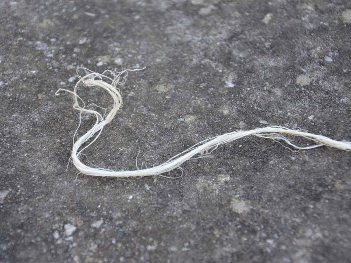 How to Process and Use Animal Sinew