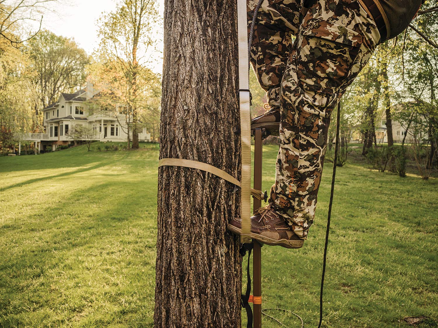 A hunter uses a tree stand in his back yard in the suburbs.