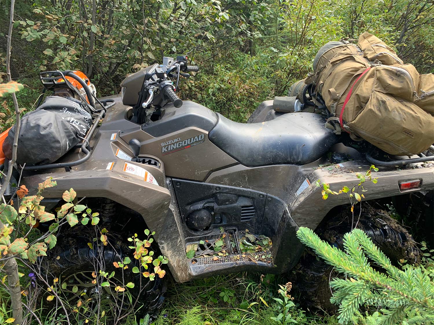 A four-wheeled ATV laden with hunting gear is surrounded by thick brush and bushes.