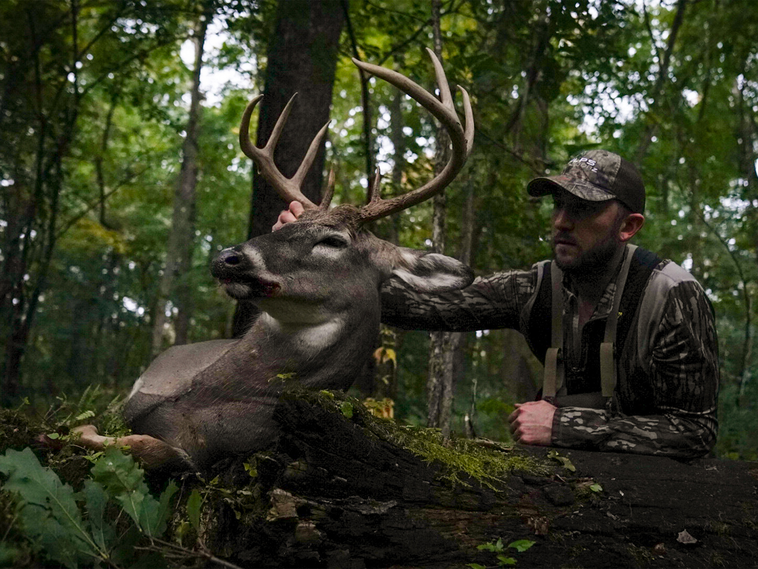 A man in full camo holds up the head of a whitetail buck by the antlers. They are in a lush, overgrown wooded area surrounded by trees, bushes, and other flora.