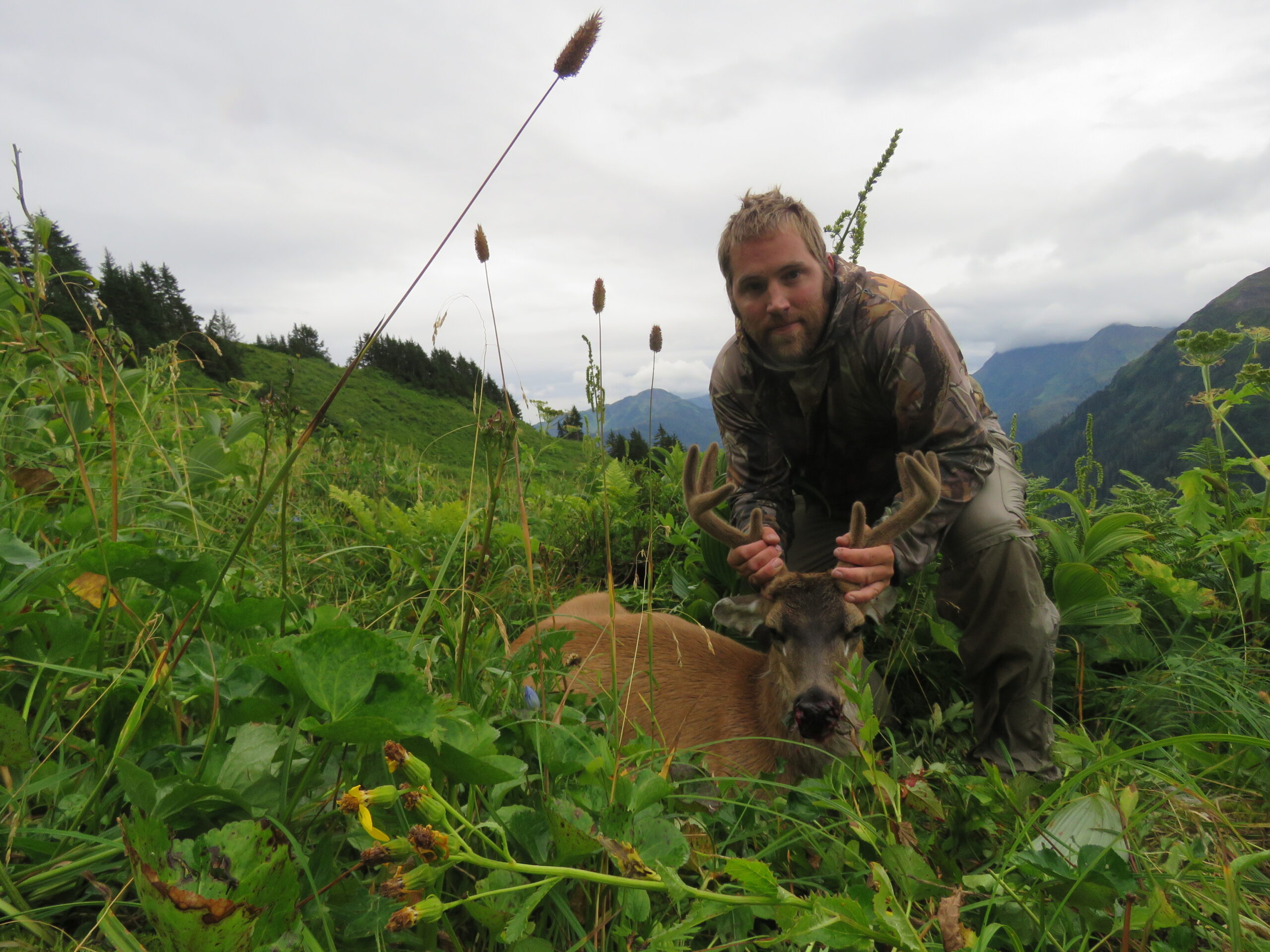 An Alaskan hunter holds up the velvet antlers of a Sitka blacktail buck in a green field in the mountains.