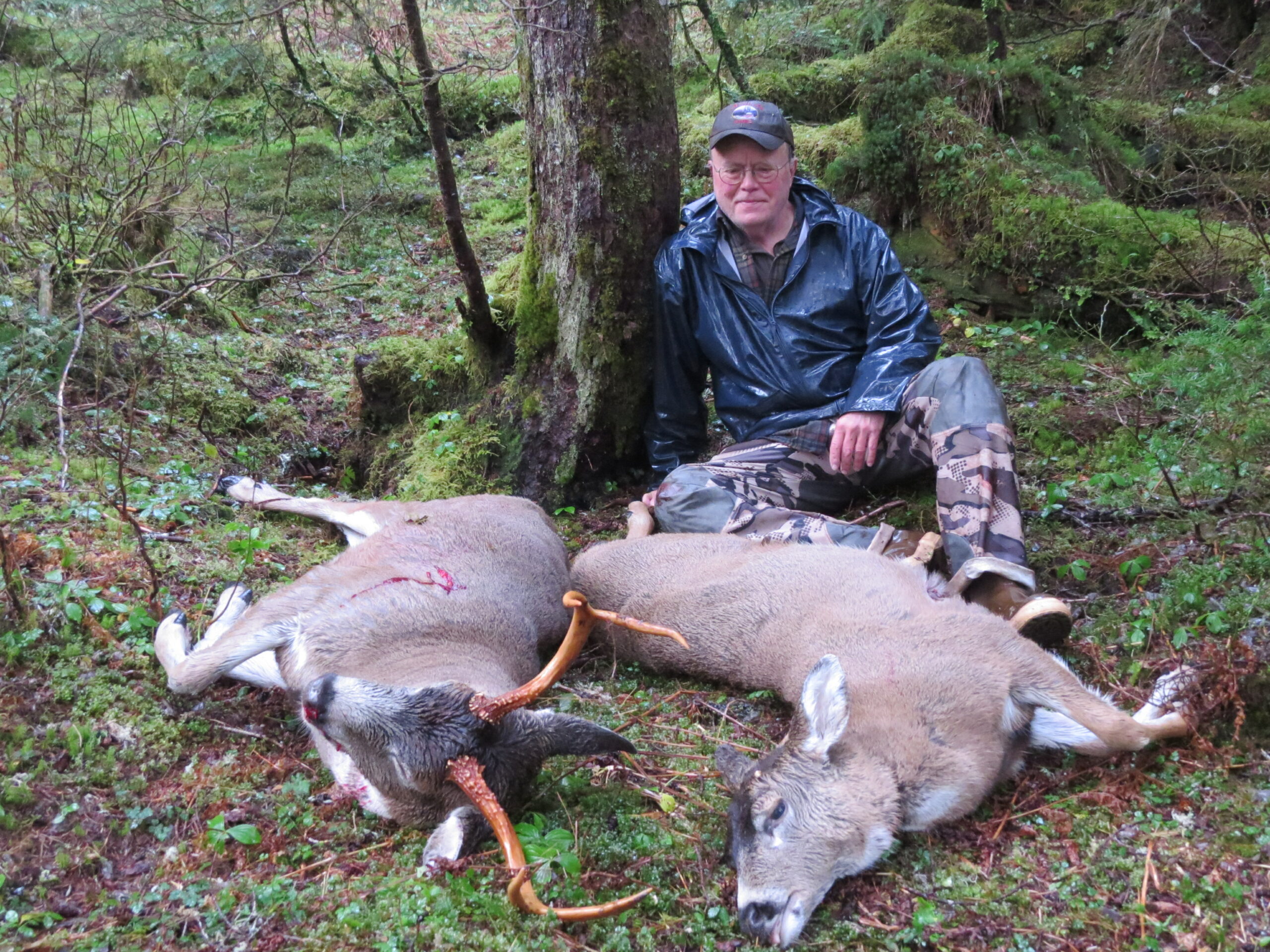 A hunter in an old-growth forest leans against a tree beside two Sitka blacktail deer.
