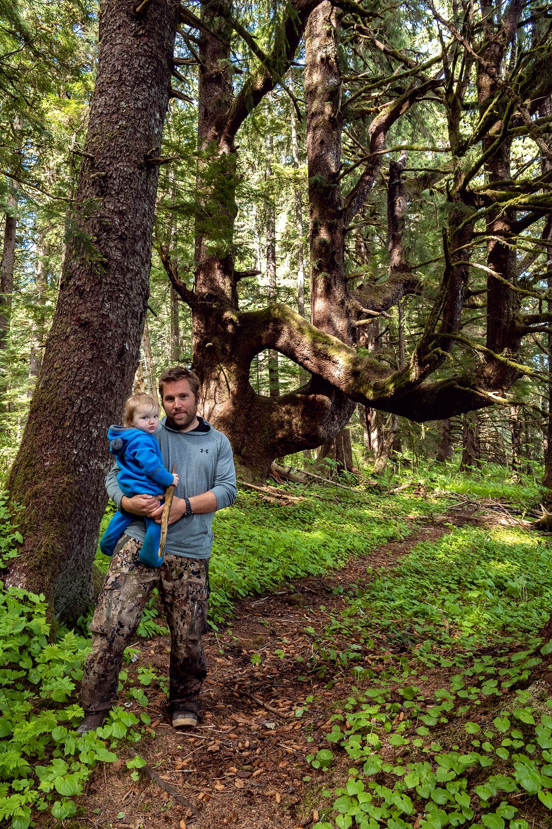 A man in a blue shirt and camo pants holds his young son in an old-growth forest.