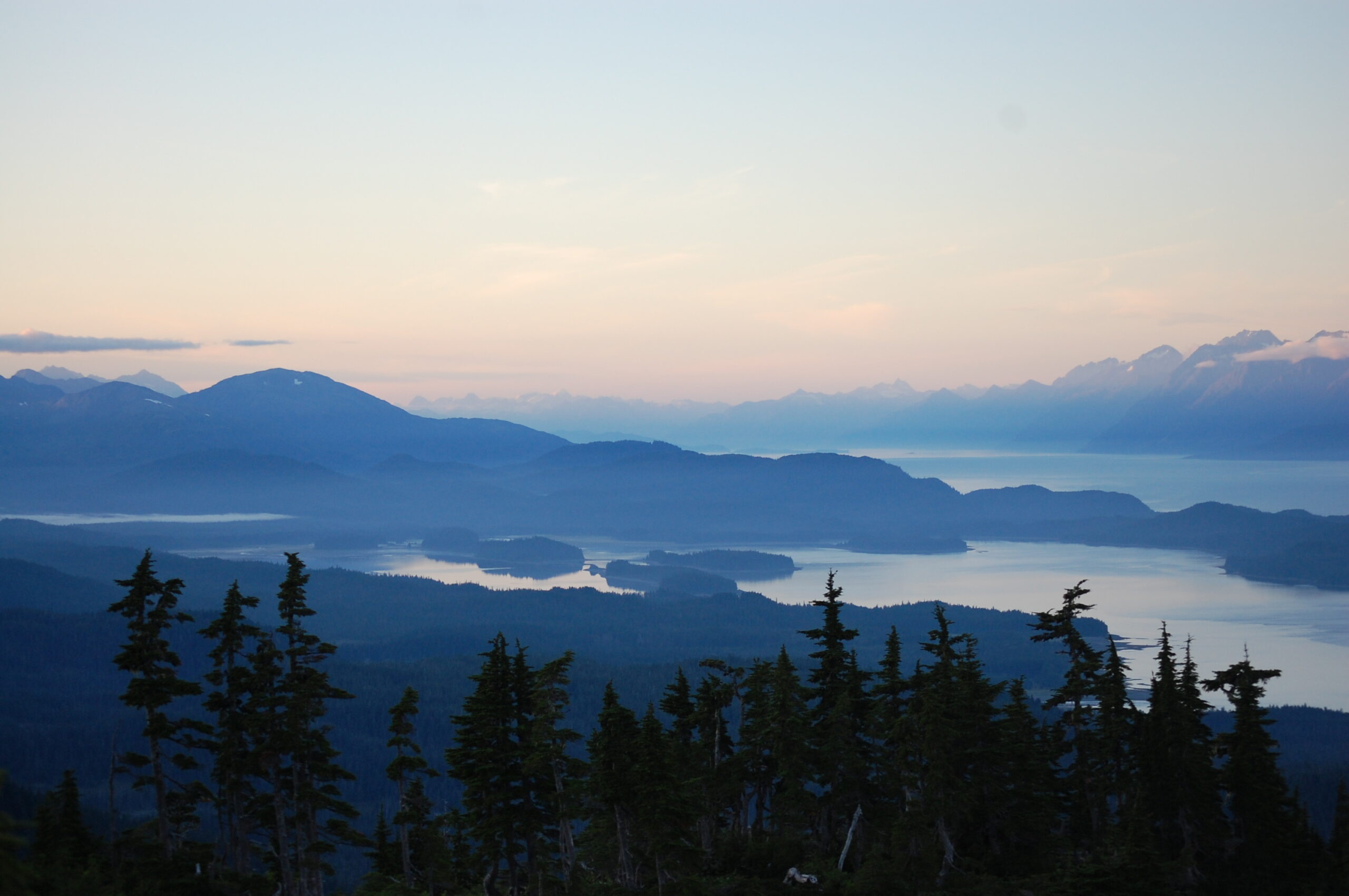 A scene of coniferous trees in the foreground, and hazy blue mountains and coastal ocean in the background.