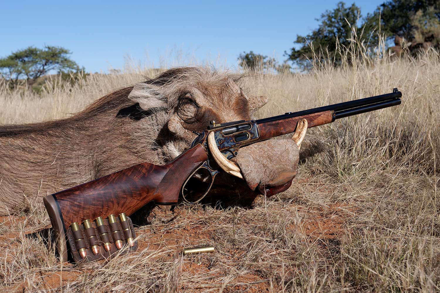A marlin 1895 hunting rifle leaning against a boar.
