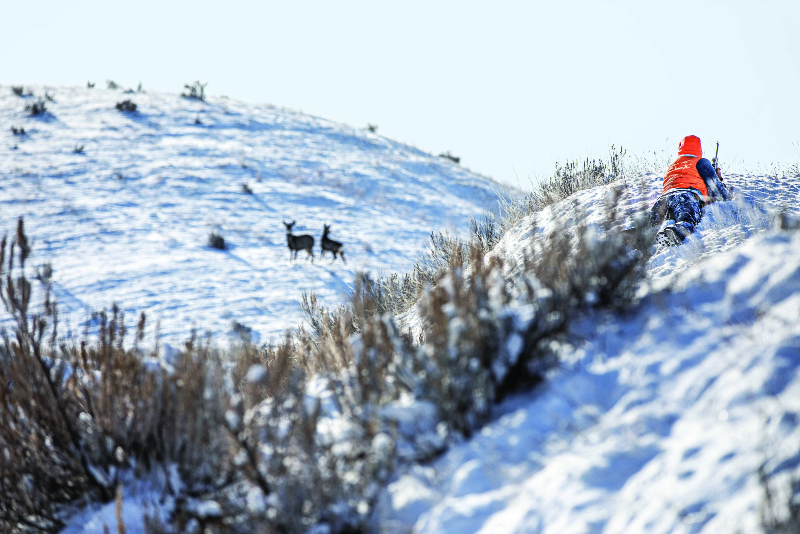 A hunter in blaze orange on a hill, over looking a snowy hill.