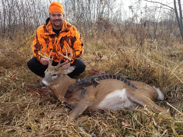 Minnesota Hunter Shoots a 10-Point Buck (Then a Gator) on the Whitetail Opener