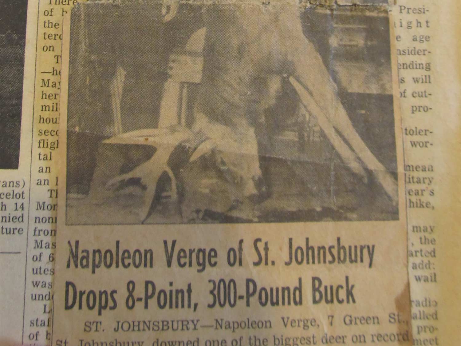 A newspaper clipping showing an image of a buck and the headline: "Napolean Verge of St. Johnsbury Drops 8-Point, 300-Pound Buck"