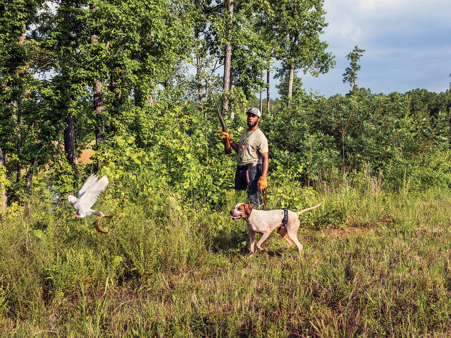 A hunter and dog walk through an open field, flushing birds out of the tall grass.