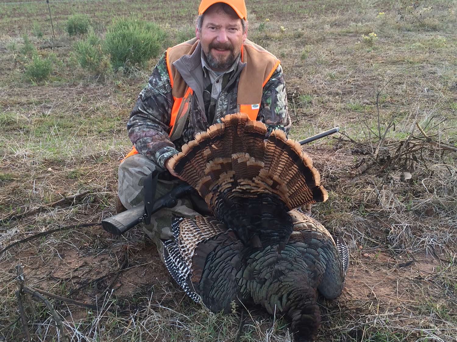 A hunter kneels behind a turkey and fans out its tailfeathers.